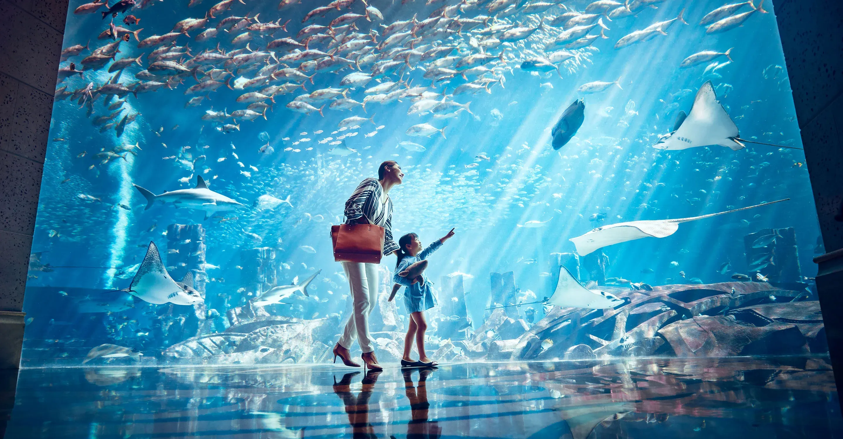 The Lost Chambers Aquarium with 65 000 marine animals Aquaventure World Dubai Book Tickets now