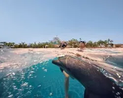Girls Doing Dolphin Swim At Atlas Village Thumbnail