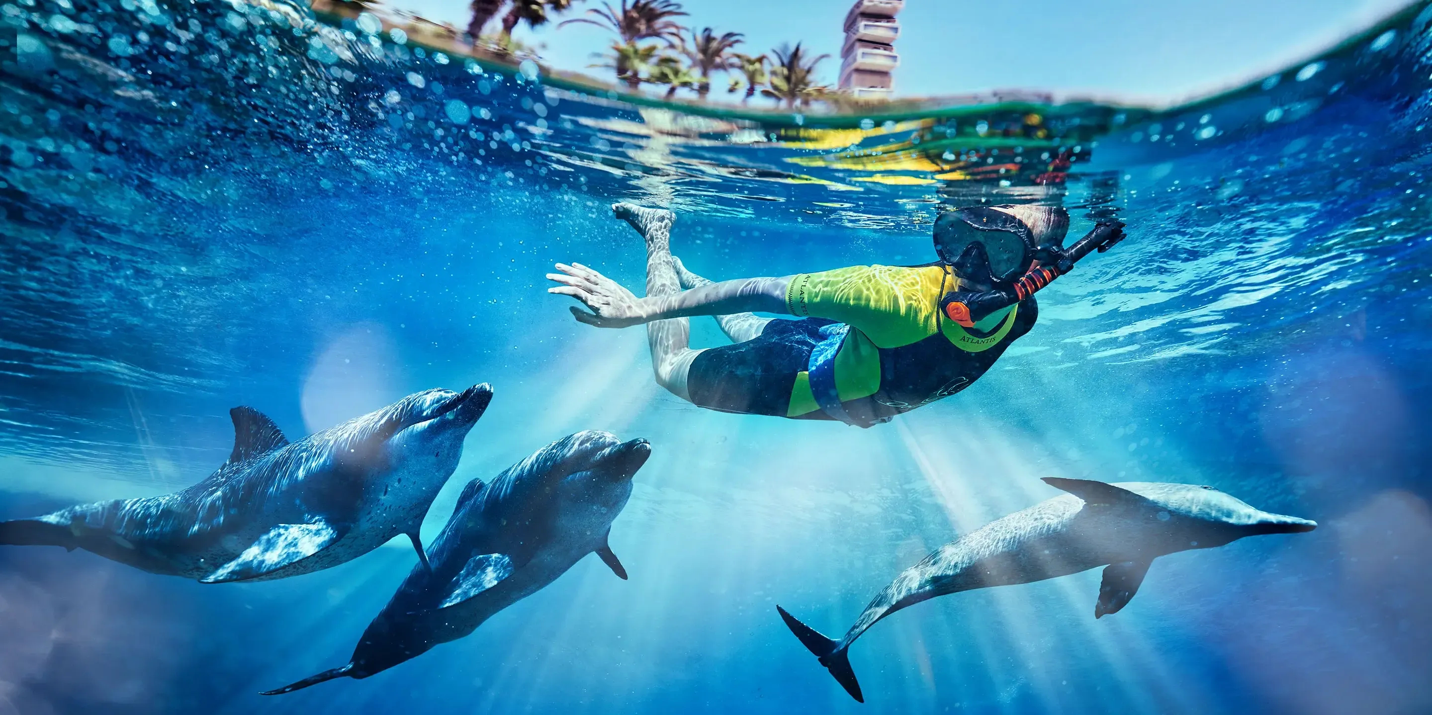 Dolphin Snorkel experience in Atlantis Aquaventure, Atlantis Dubai
